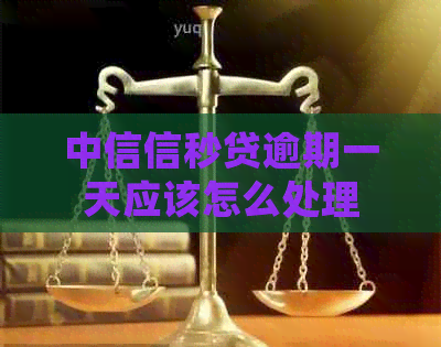 中信信秒贷逾期一天应该怎么处理