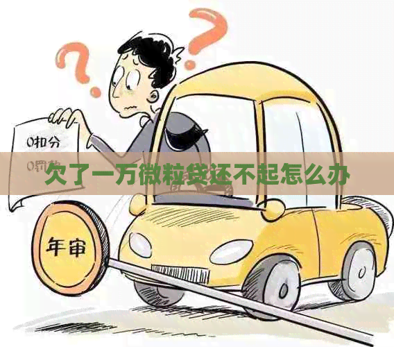 欠了一万微粒贷还不起怎么办