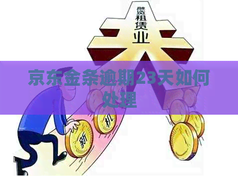京东金条逾期23天如何处理