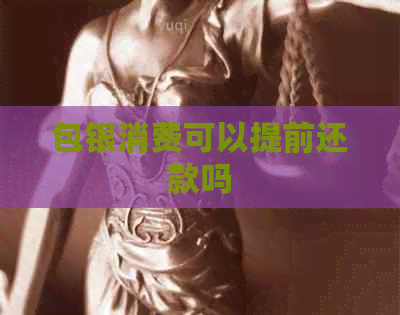 包银消费可以提前还款吗