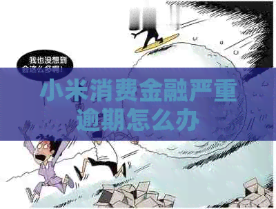 小米消费金融严重逾期怎么办