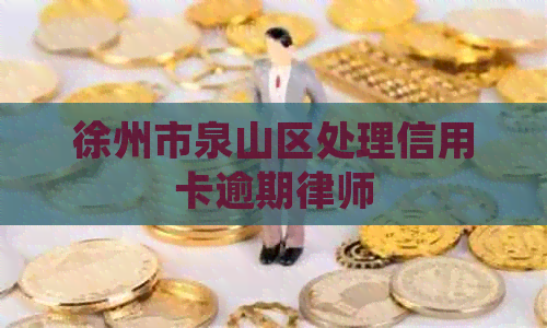 徐州市泉山区处理信用卡逾期律师