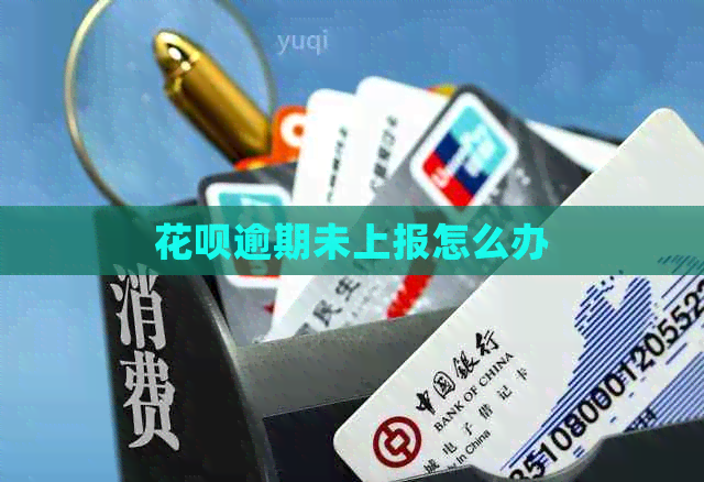 白条逾期未上报怎么办