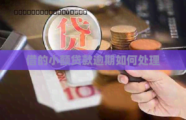 借的小额贷款逾期如何处理