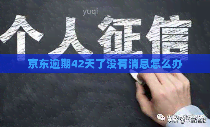 京东逾期42天了没有消息怎么办