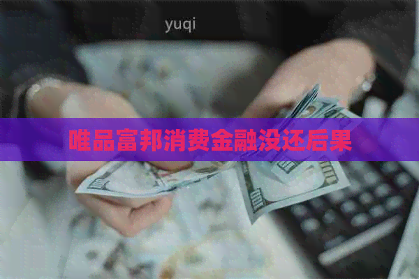 唯品富邦消费金融没还后果