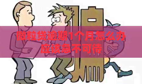 微粒贷逾期1个月怎么办应该急不可待