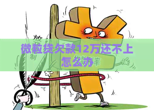 微粒贷欠款12万还不上怎么办