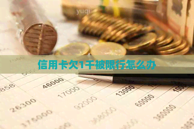 信用卡欠1千被限行怎么办