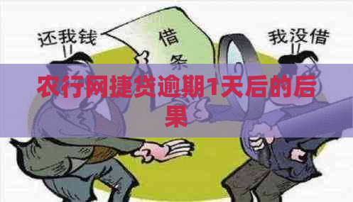 农行网捷贷逾期1天后的后果