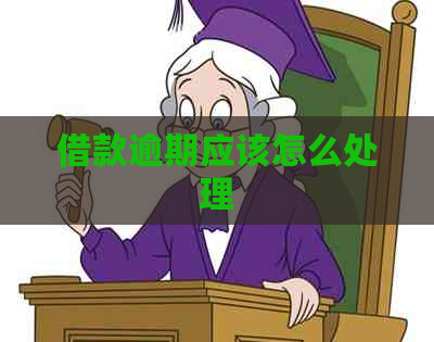 借款逾期应该怎么处理