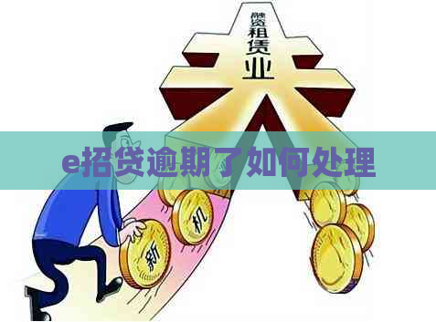 e招贷逾期了如何处理