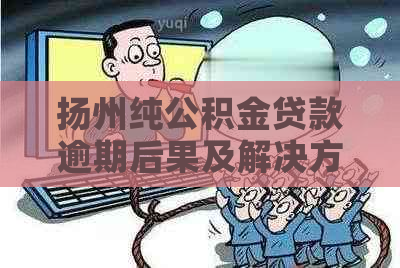 扬州纯公积金贷款逾期后果及解决方法