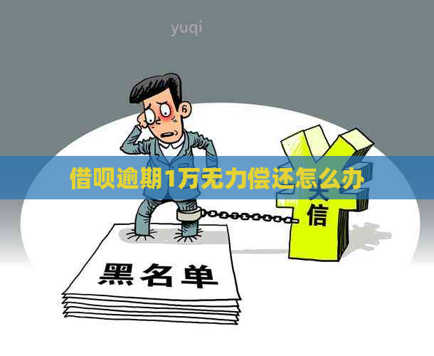 信用卡逾期1万无力偿还怎么办