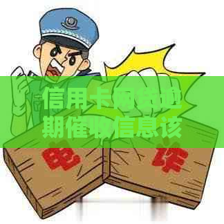 信用卡网贷逾期信息该如何处理