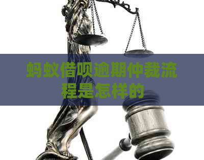 蚂蚁信用卡逾期仲裁流程是怎样的