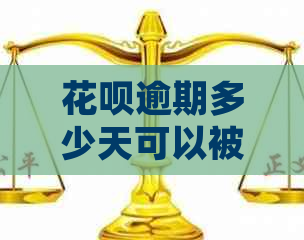 白条逾期多少天可以被起诉