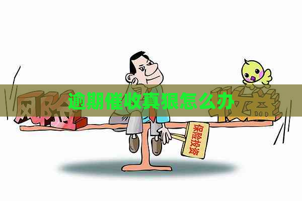 逾期真狠怎么办
