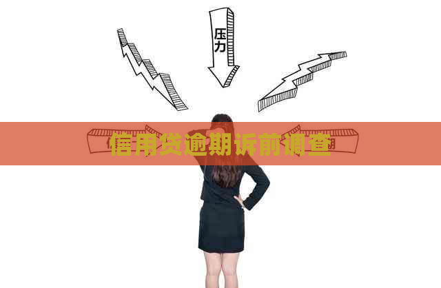 信用贷逾期诉前调查