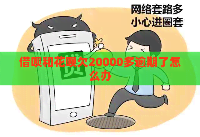 信用卡和白条欠20000多逾期了怎么办