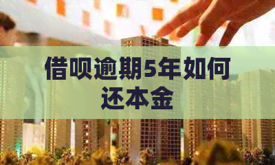 信用卡逾期5年如何还本金