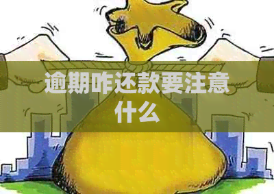 逾期咋还款要注意什么