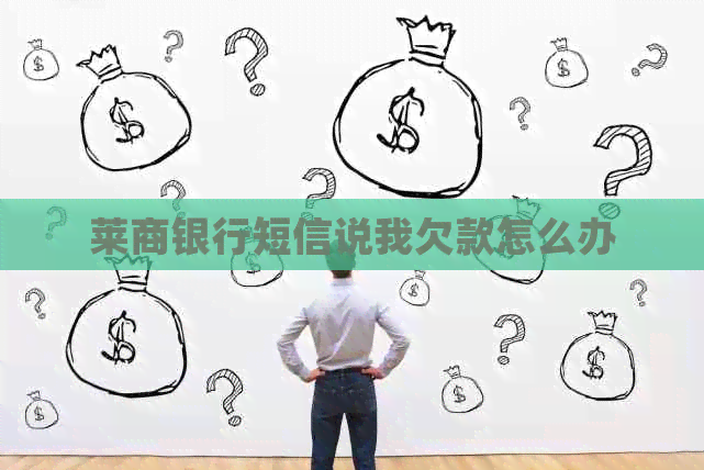 莱商银行短信说我欠款怎么办
