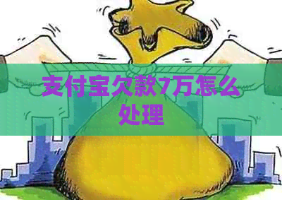 信用卡欠款7万怎么处理