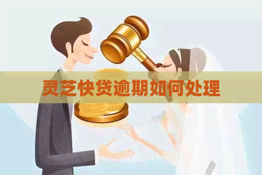 灵芝快贷逾期如何处理