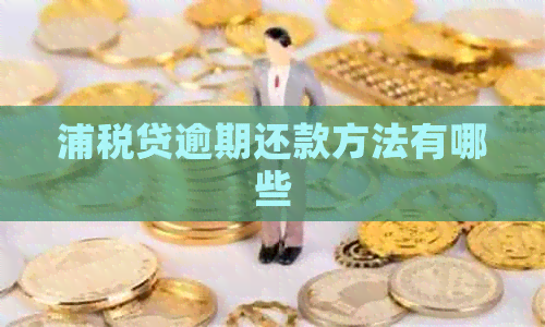浦税贷逾期还款方法有哪些