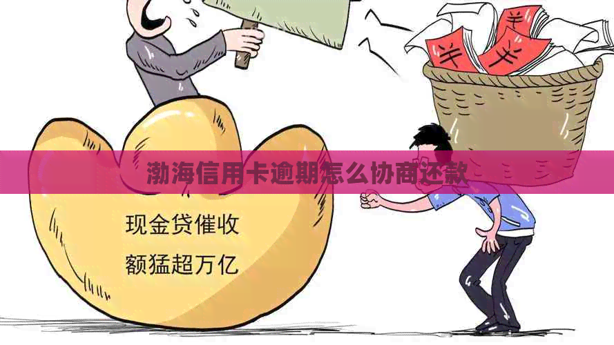 渤海信用卡逾期怎么协商还款