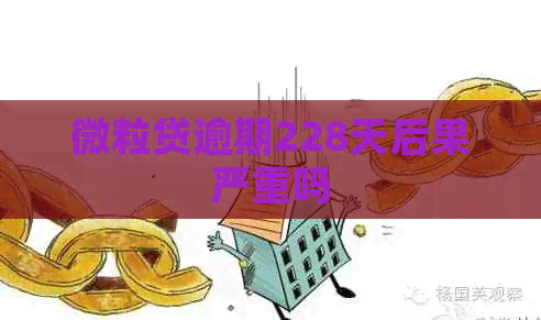 微粒贷逾期228天后果严重吗