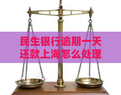 民生银行逾期一天还款上海怎么处理