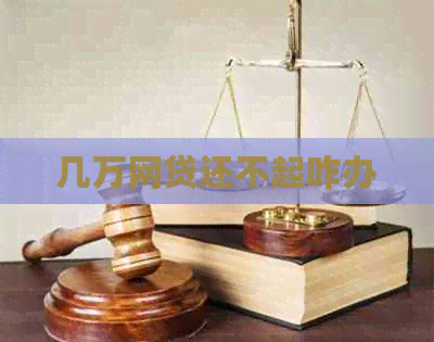 几万网贷还不起咋办