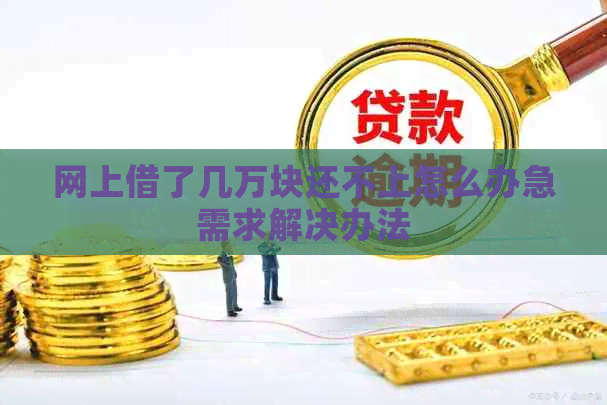 网上借了几万块还不上怎么办急需求解决办法