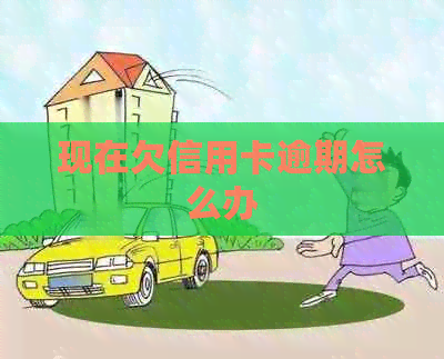 现在欠信用卡逾期怎么办