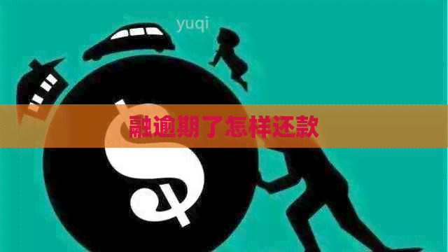 融逾期了怎样还款