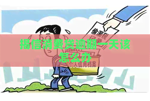 揭信消费贷逾期一天该怎么办