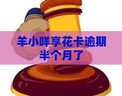 羊小咩享花卡逾期半个月了