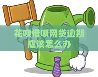 白条信用卡网贷逾期应该怎么办