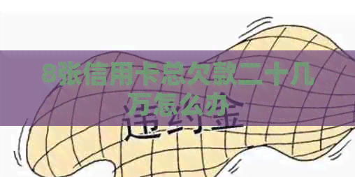 8张信用卡总欠款二十几万怎么办