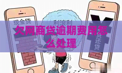 欠白条贷逾期费用怎么处理