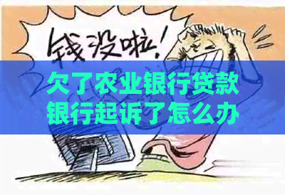 欠了农业银行贷款银行起诉了怎么办