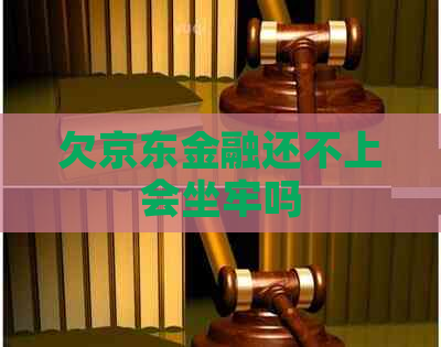 欠京东金融还不上会坐牢吗