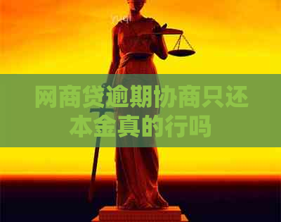 白条贷逾期协商只还本金真的行吗