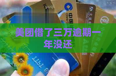 美团借了三万逾期一年没还