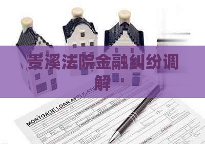 贵溪法院金融纠纷调解