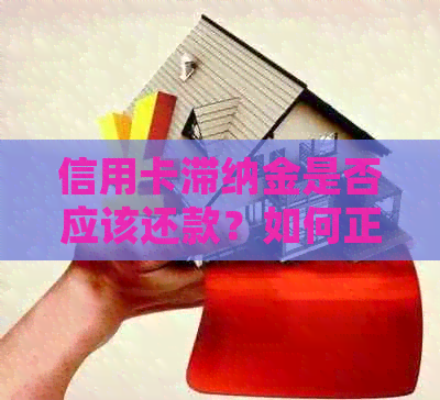 信用卡滞纳金是否应该还款？如何正确处理信用卡滞纳金问题？