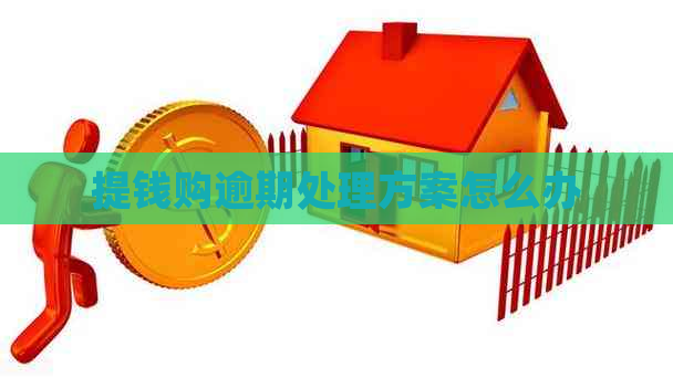 提钱购逾期处理方案怎么办