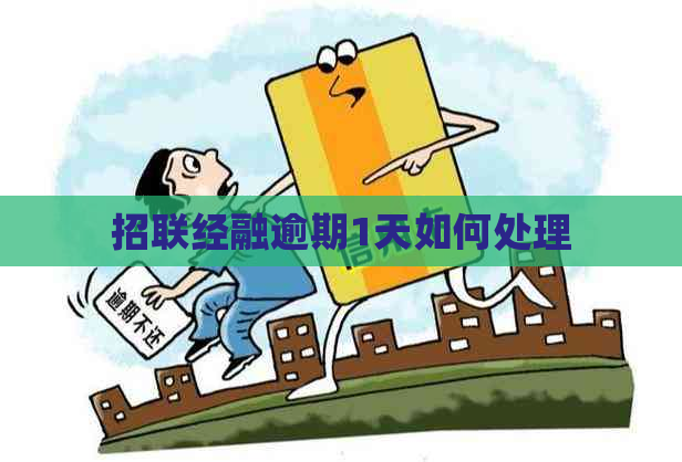招联经融逾期1天如何处理